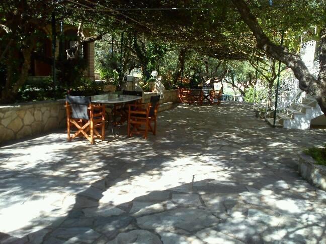 Sofos Apartments Tsilivi  Room photo