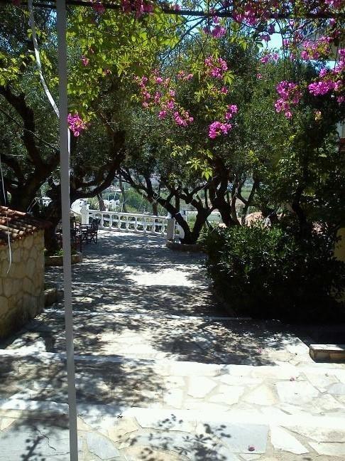 Sofos Apartments Tsilivi  Room photo
